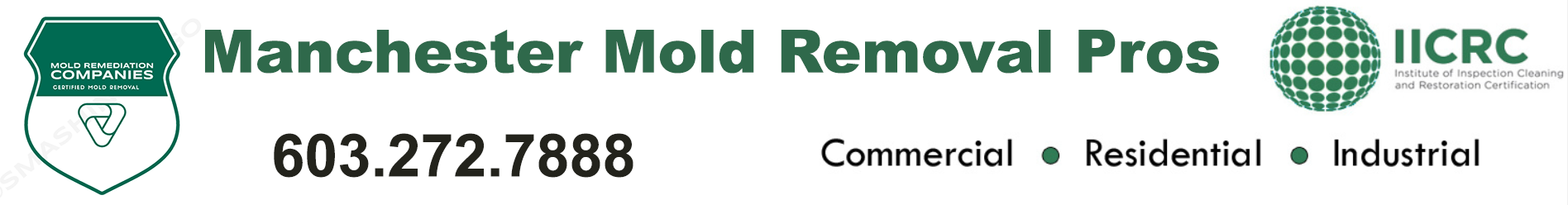 Manchester Mold Removal Pros