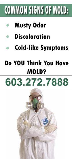 Manchester Mold Remediation Contractor